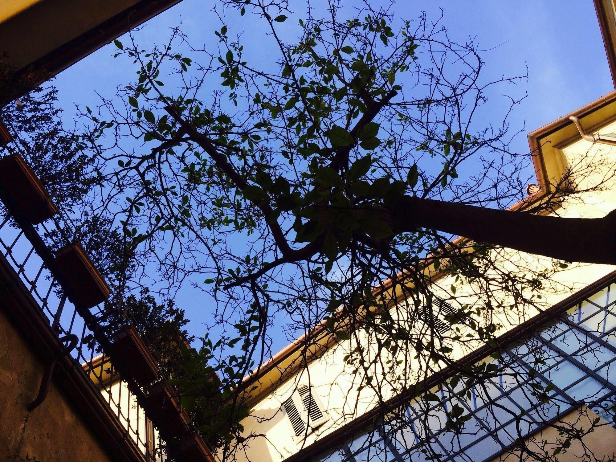 Locanda San Marco Residenza Caluri Pistoia Kültér fotó